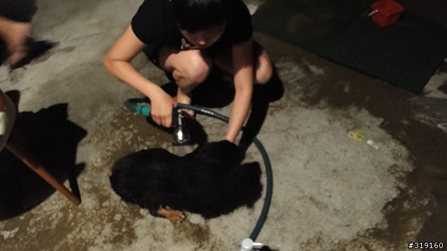 沙灘、音樂、熱炒、啤酒  夏夜晚風(玩瘋)PART2...