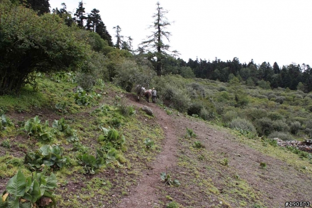 [遊記] 從地獄走向天堂的路 第七天 雀兒山下 塔斯溝山谷→邛引村