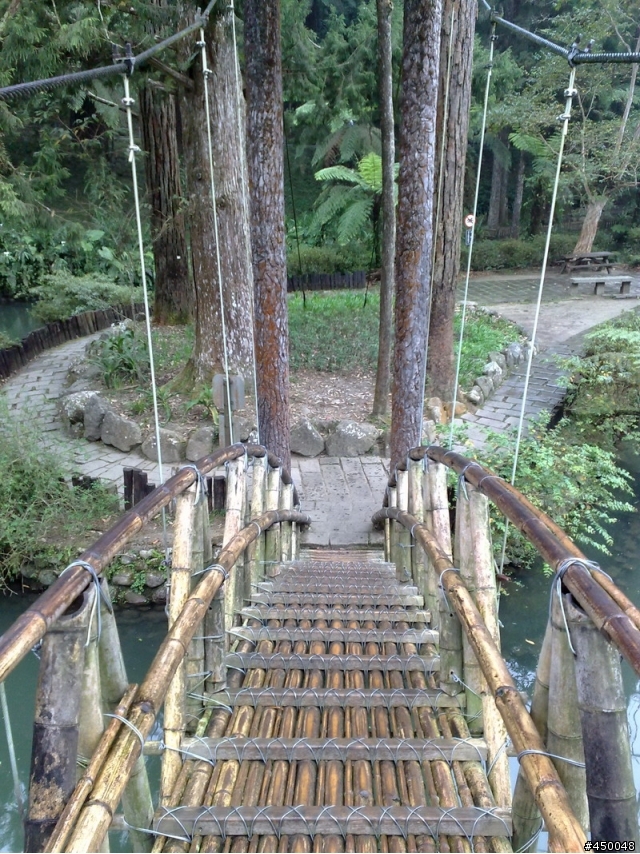 [分享]溪頭森林浴