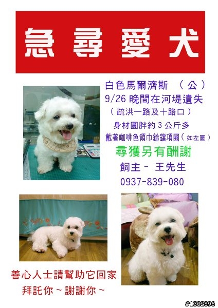 白瑪爾走失協尋~980926 於蘆洲五股疏洪道走失~
