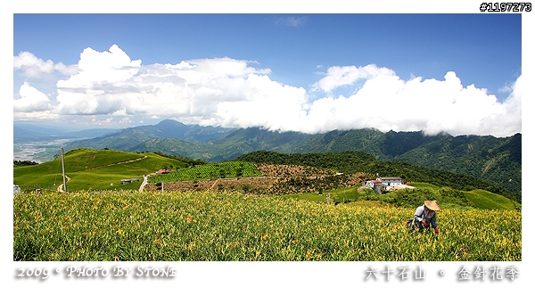 朗。克徠爵 的 風車教堂 & 六十石山金針花季 --- 環島第二天