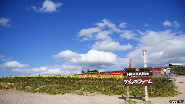 分享自製北海道風景桌布(480x854, 854x480都有)
