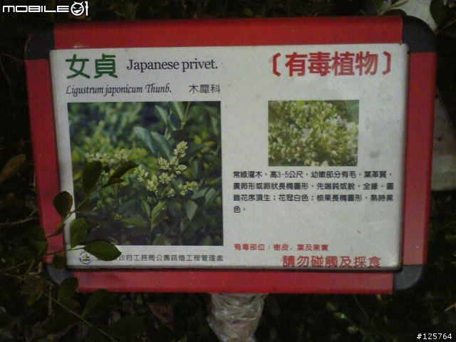 [閒聊]有毒的植物當人行道植栽？