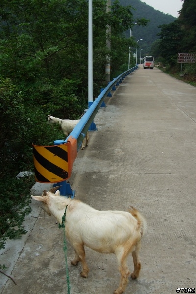 摩根單騎之寧波山路