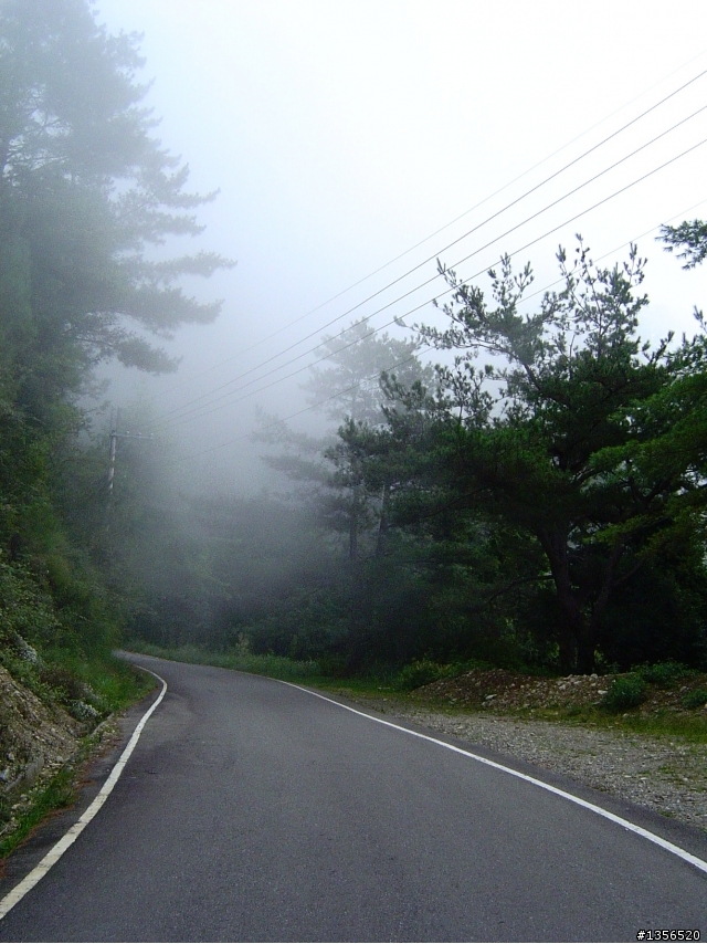 [分享]大雪山林道處女航