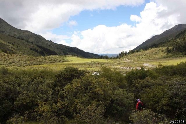 [遊記] 從地獄走向天堂的路 第六天 茨古啞口→雀兒山下 塔斯溝山谷
