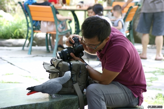 2009-0905-sony宜蘭秘境專題攝影