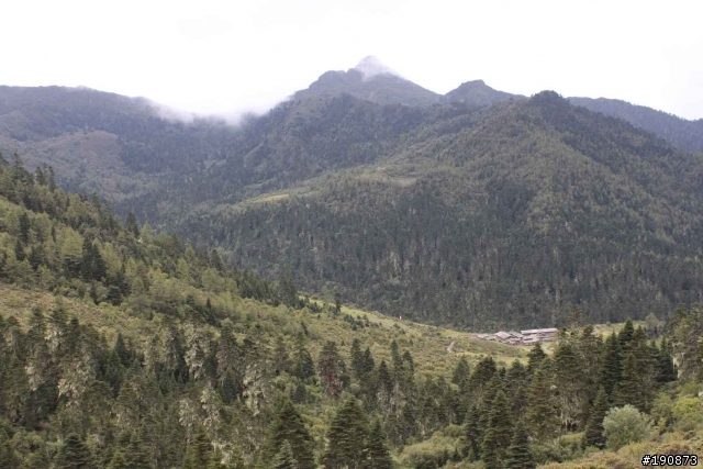 [遊記] 從地獄走向天堂的路 第六天 茨古啞口→雀兒山下 塔斯溝山谷