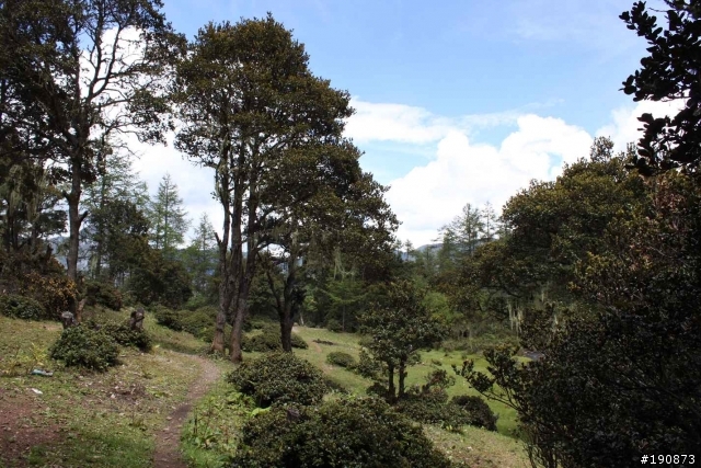 [遊記] 從地獄走向天堂的路 第七天 雀兒山下 塔斯溝山谷→邛引村