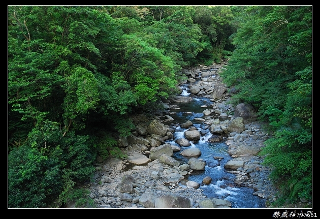 小烏來-赫威神木群