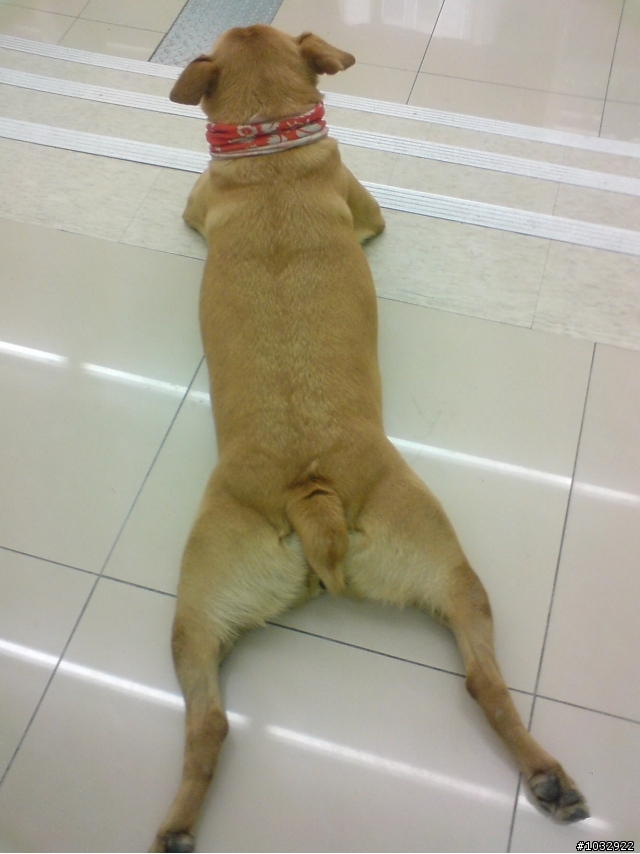全赤裸美背寫真~~