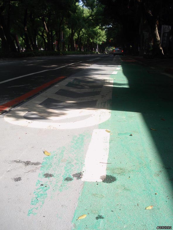 敦化自行車道路面鋪漆未乾! Birdy愛車受難!