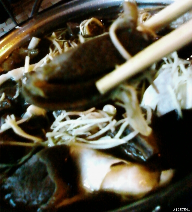 中西區：海安路二段上的"食草堂羊肉爐"(有賣鱷魚肉)