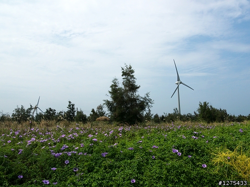 [分享]小摺與台鐵(騎不動時就找個車站搭火車)