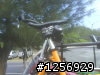 遇到偷車賊 1-2
