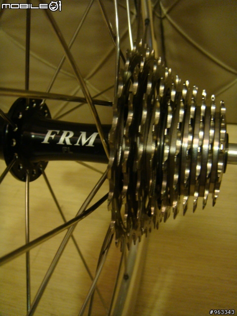 帝王鈦鳥  Birdy Ti Campy Record