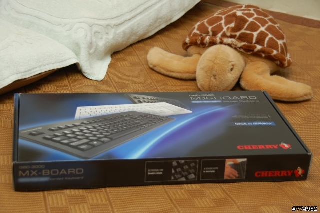 踏入松鼠&蛇界的第一步~Cherry與Razer的相遇