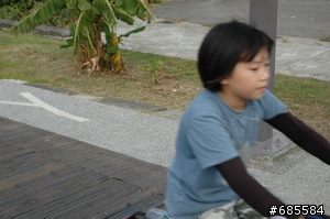 無車日活動照片,圖多自行搜尋