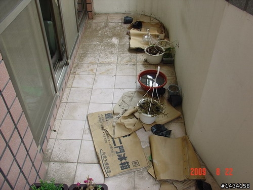 陽台改造DIY