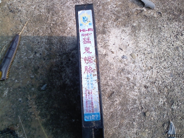 台南永康-飛雁新村