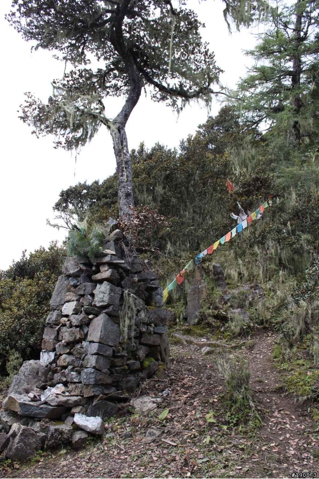 [遊記] 從地獄走向天堂的路 第八天 邛引村→水落河畔