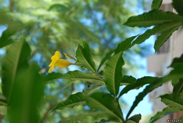 [分享] 湯姆龍B005簡短開箱+測試(已補圖)