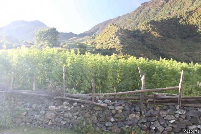 [遊記] 從地獄走向天堂的路 第七天 雀兒山下 塔斯溝山谷→邛引村