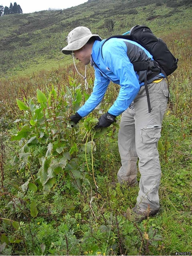 [遊記] 從地獄走向天堂的路 第五天 屋腳蒙古鄉→茨古啞口