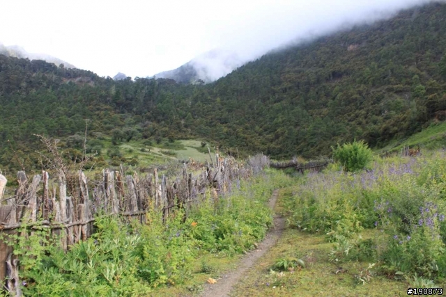 [遊記] 從地獄走向天堂的路 第八天 邛引村→水落河畔