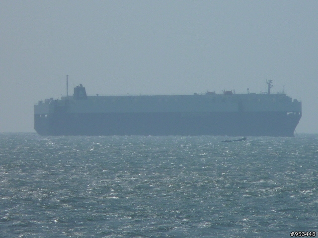FZ35隨拍(歡迎一起來蓋FZ35大樓)