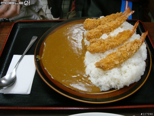非常可怕的超級無敵巨大炸豬排飯 (多到爆)