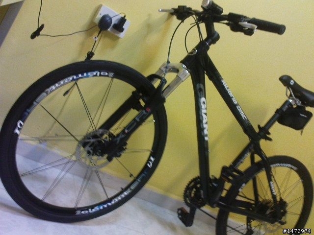 我的GIANT IGUANA DISC 08
