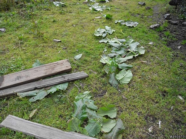 [遊記] 從地獄走向天堂的路 第五天 屋腳蒙古鄉→茨古啞口