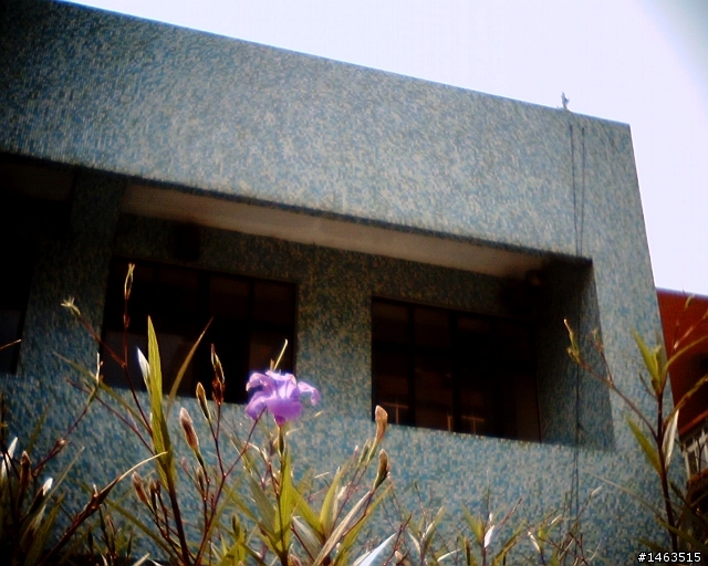 VQ1015來蓋樓吧(也歡迎其他LOMO玩具相機亂入,請註明型號GENIE III.VQ1005)