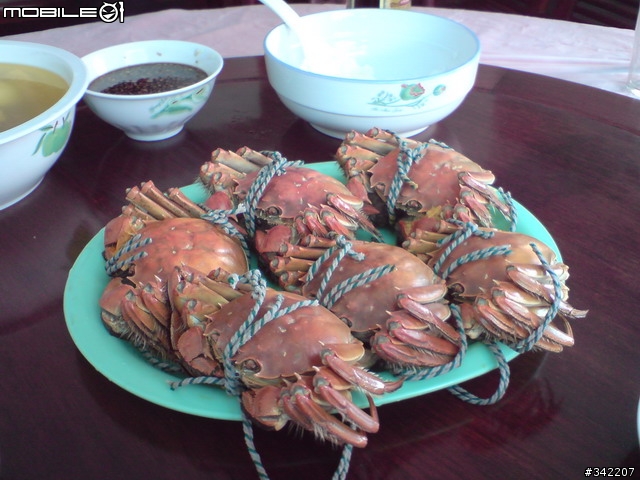 09年九月首發-陽澄胡大閘蟹 陽澄湖蓮花島