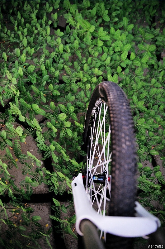 Proflex ENDURO Core7
