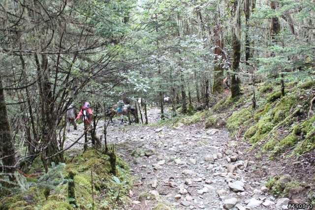 [遊記] 從地獄走向天堂的路 第六天 茨古啞口→雀兒山下 塔斯溝山谷