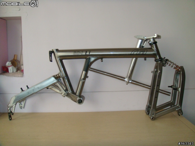 帝王鈦鳥  Birdy Ti Campy Record