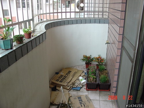 陽台改造DIY