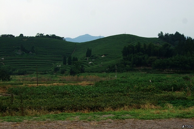 摩根單騎之寧波山路