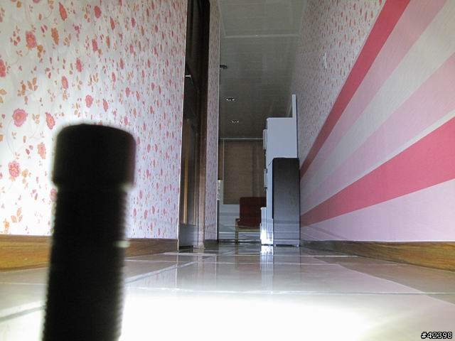 【分享】光隨身 ZEBRALIGHT 電筒