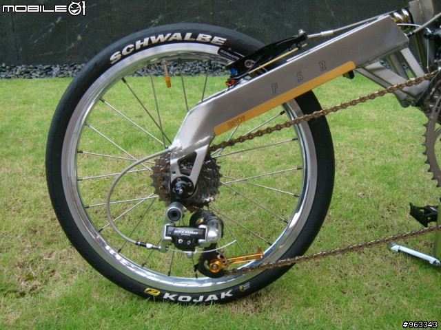 帝王鈦鳥  Birdy Ti Campy Record