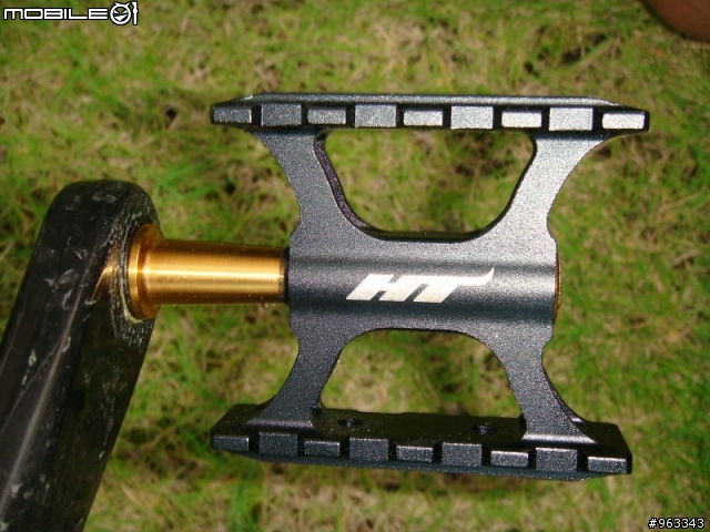 帝王鈦鳥  Birdy Ti Campy Record