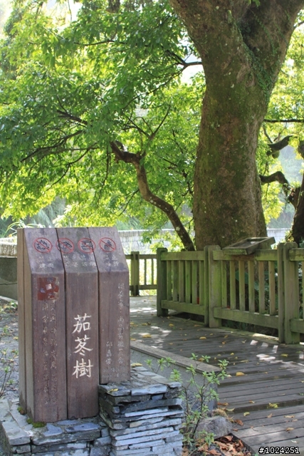 [遊記]抓住夏天的尾巴—六十石山‧安通‧南安瓦拉米 (圖多)