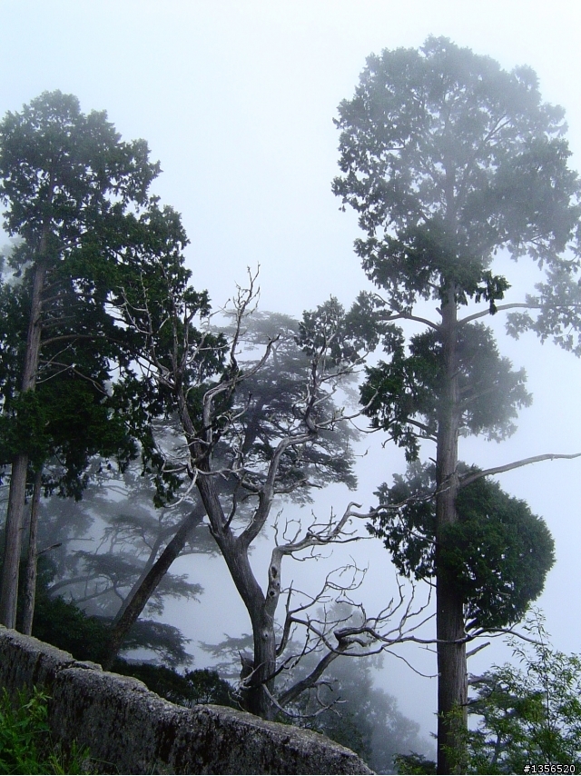 [分享]大雪山林道處女航