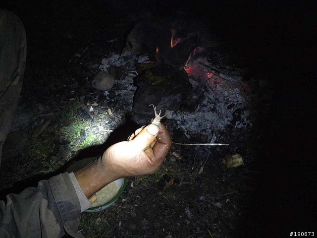[遊記] 從地獄走向天堂的路 第七天 雀兒山下 塔斯溝山谷→邛引村