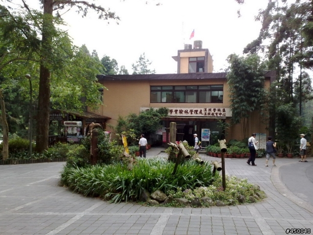 [分享]溪頭森林浴