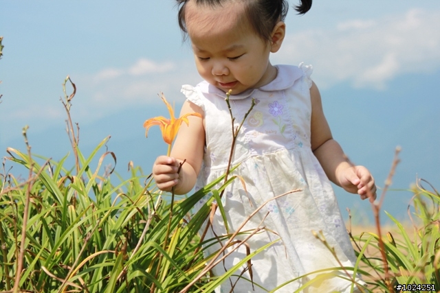 [遊記]抓住夏天的尾巴—六十石山‧安通‧南安瓦拉米 (圖多)