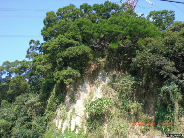 9/8角板山半日遊....差點給它爆肝