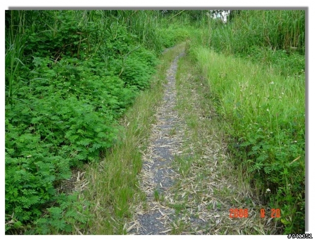 已成絕響的路--師大分部至泥火山